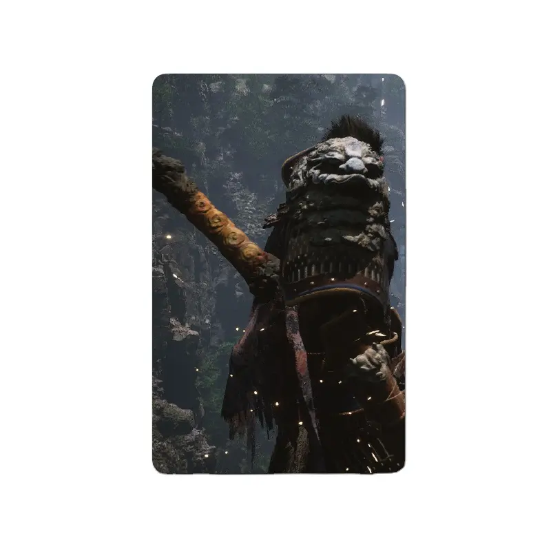 Ntag215 Game Cards Custom Printing PVC Material Children's Custom Memory Cards