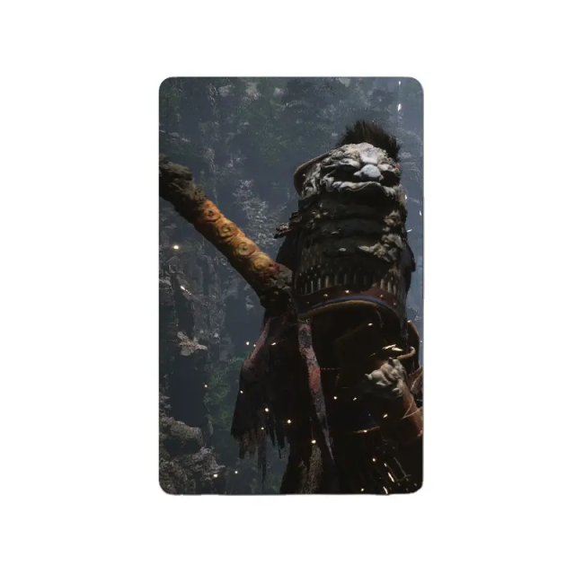 Ntag215 Game Cards Custom Printing PVC Material Children's Custom Memory Cards