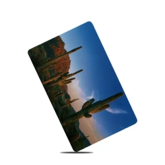 Hotel Resort Key Cards - Custom RFID Cards, Hotel Key Cards, RFID Access