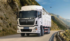 DONGFENG VL CARGO TRUCK