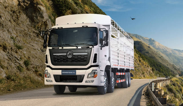 DONGFENG VL CARGO TRUCK
