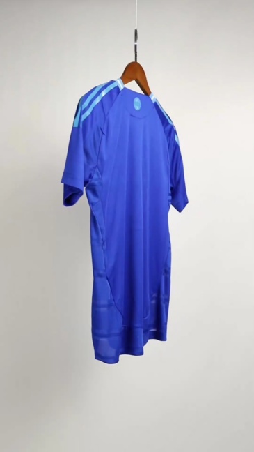 Argentina Authentic Soccer Jersey Away Custom Shirt 2024