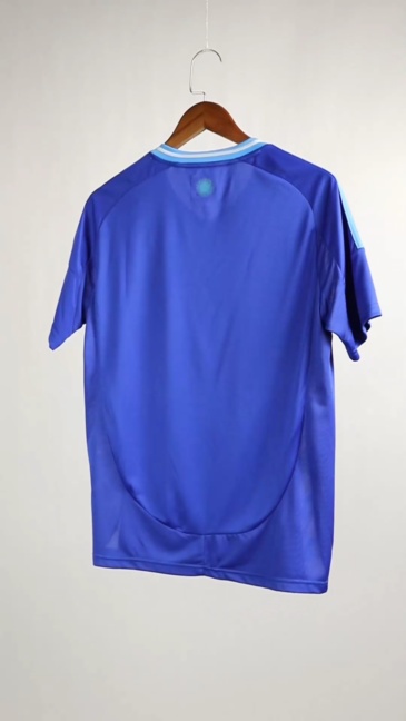 Argentina Soccer Jersey Away Custom Shirt 2024