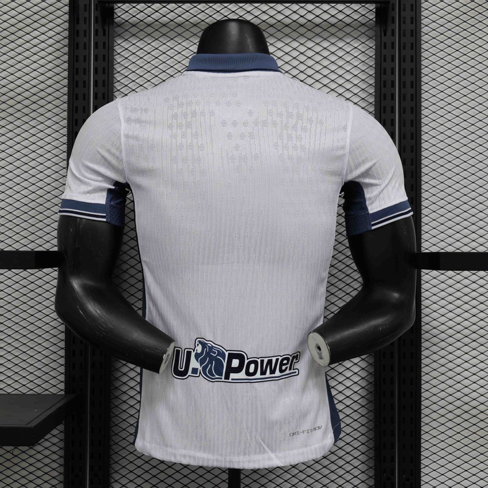 Authentic Soccer Jersey Inter Milan Away Shirt 2024/25