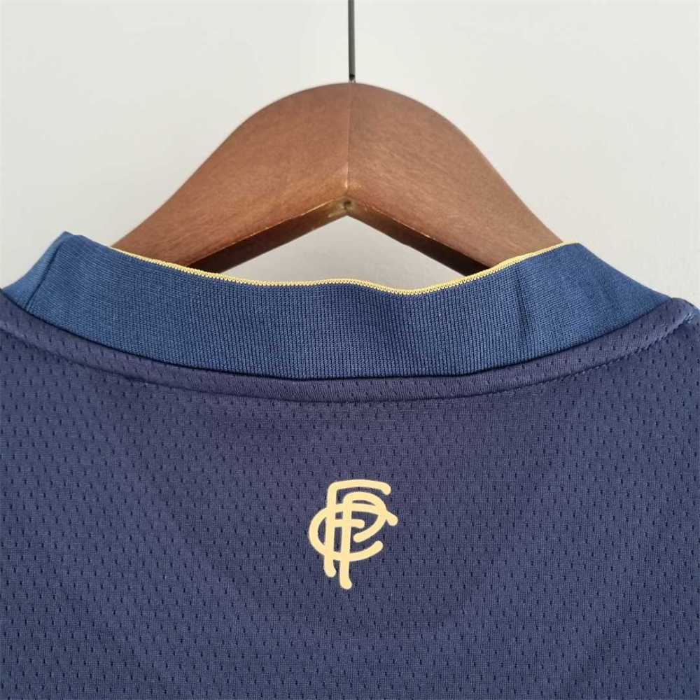FC Porto Soccer Jersey Champions Special Edition Custom Shirt 2022/23