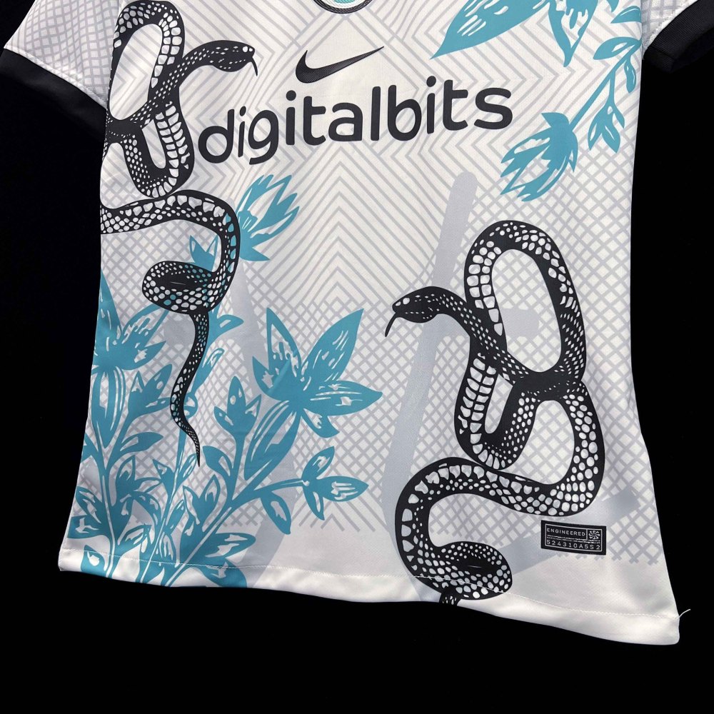 Inter Milan Soccer Jersey Sanke Special Edition Custom Shirt 2024/25