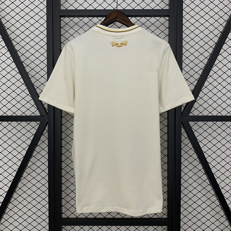 Colombia Soccer Jersey Cotton Custom T-shirt 2025
