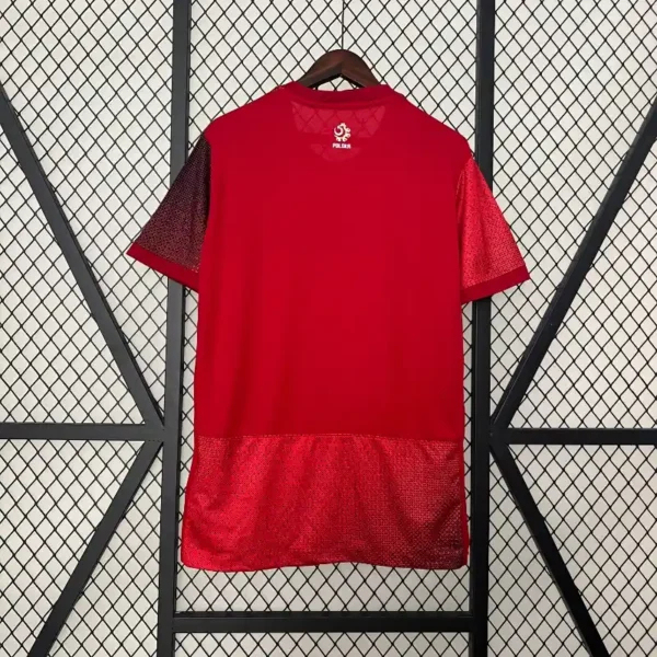 Poland Soccer Jersey Away Custom Shirt 2024