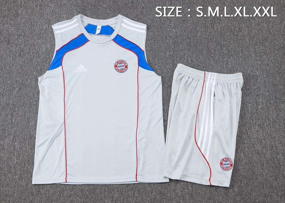Bayern Munich Sleeveless Training Kit Gray 2025/26