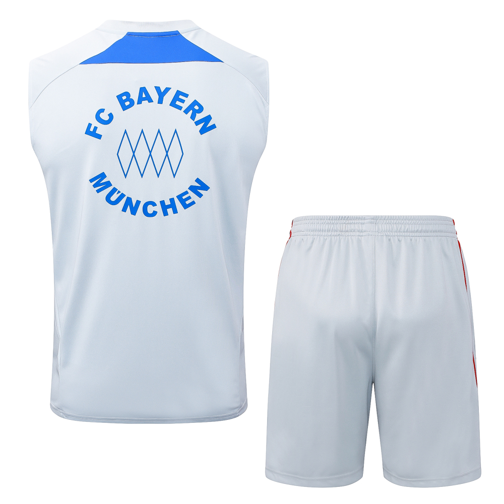 Bayern Munich Sleeveless Training Kit Gray 2025/26