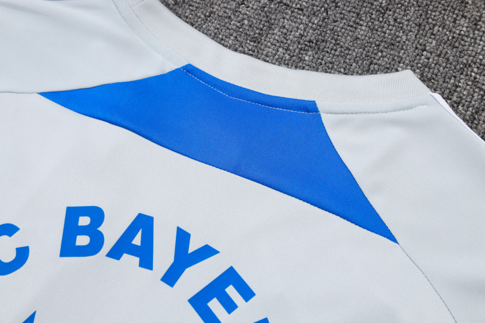 Bayern Munich Sleeveless Training Kit Gray 2025/26