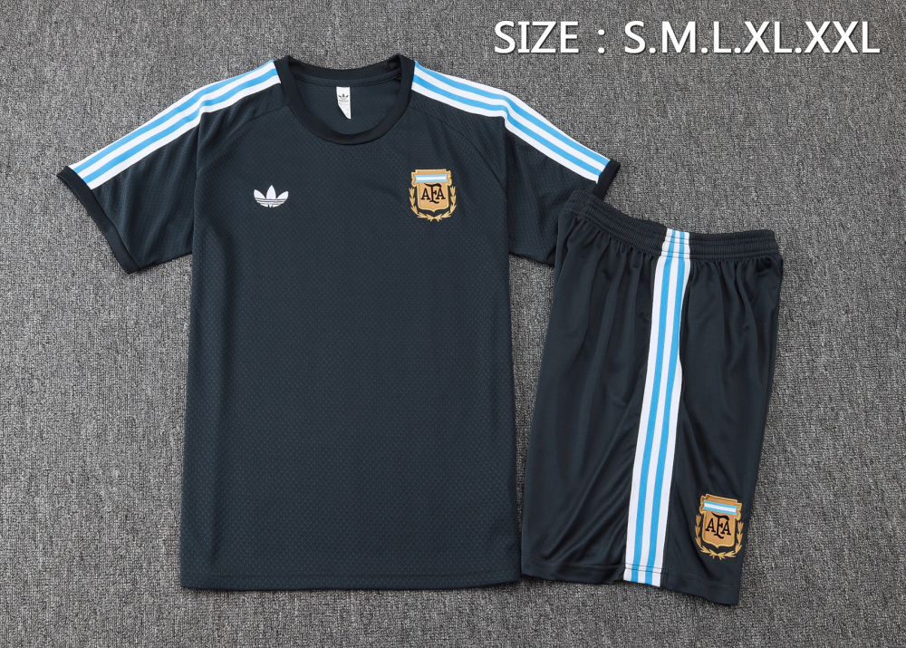Argentina Training Jersey Kit Gray 2025