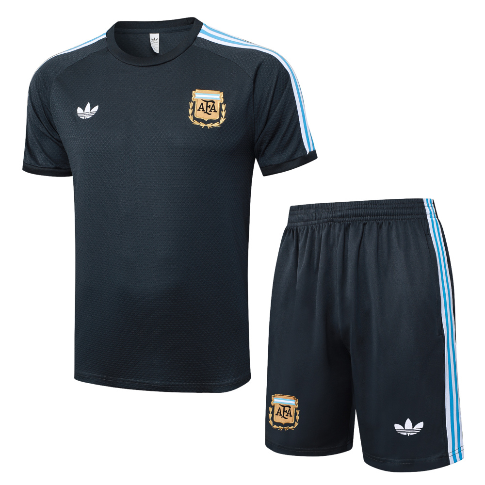 Argentina Training Jersey Kit Gray 2025
