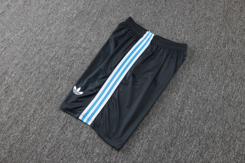 Argentina Training Jersey Kit Gray 2025