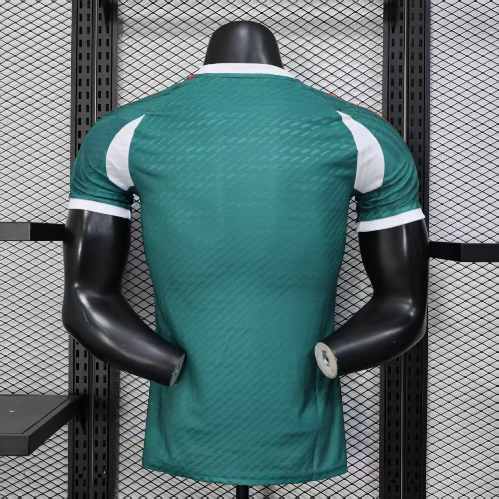 Mexico Authentic Special Soccer Jersey 2025