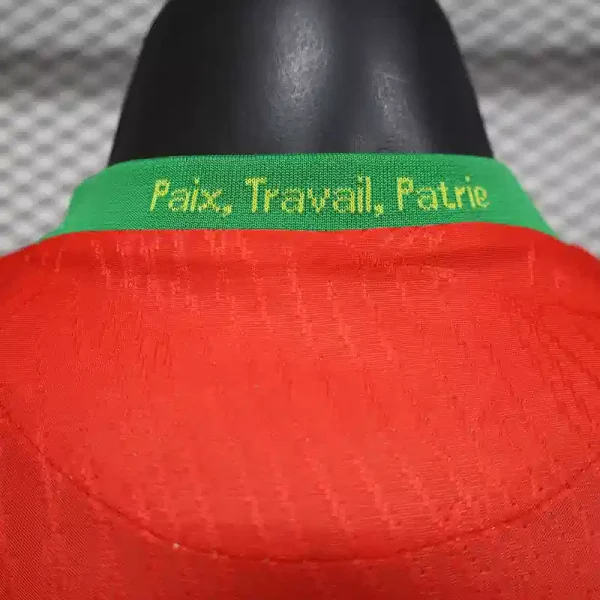 Cameroon Authentic Soccer Jersey Away Shirt 2025