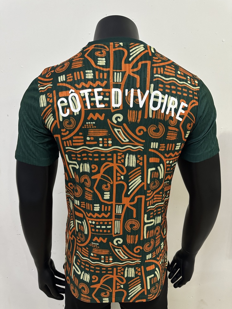 Côte d'Ivoire Authentic Soccer Jersey Training Shirt 2025