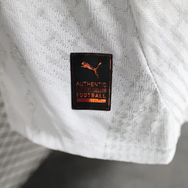 Egypt Authentic Soccer Jersey Away Shirt 2024-25