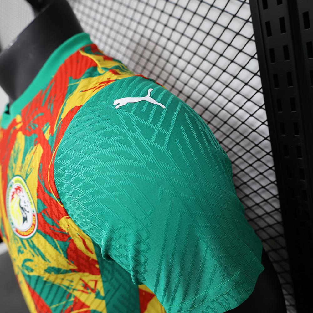 Senegal Authentic Soccer Jersey Training Shirt 2025