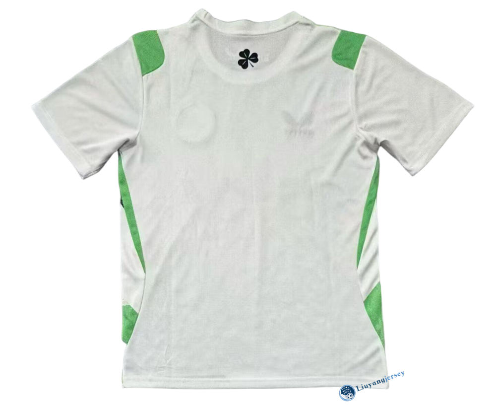 Ireland Soccer Jersey Away Custom Shirt 2026 - World Cup