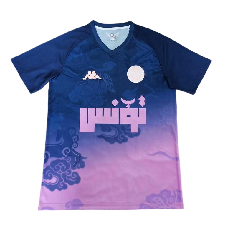 Tunisia Soccer Jersey Training Custom Shirt 2026 World Cup Edition in Model Year: 2026 Country and League: Nation Team
