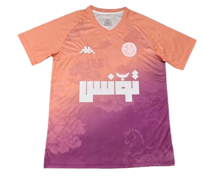 Tunisia Soccer Jersey Training Custom Shirt 2026 World Cup Edition in Model Year: 2026 Country and League: Nation Team