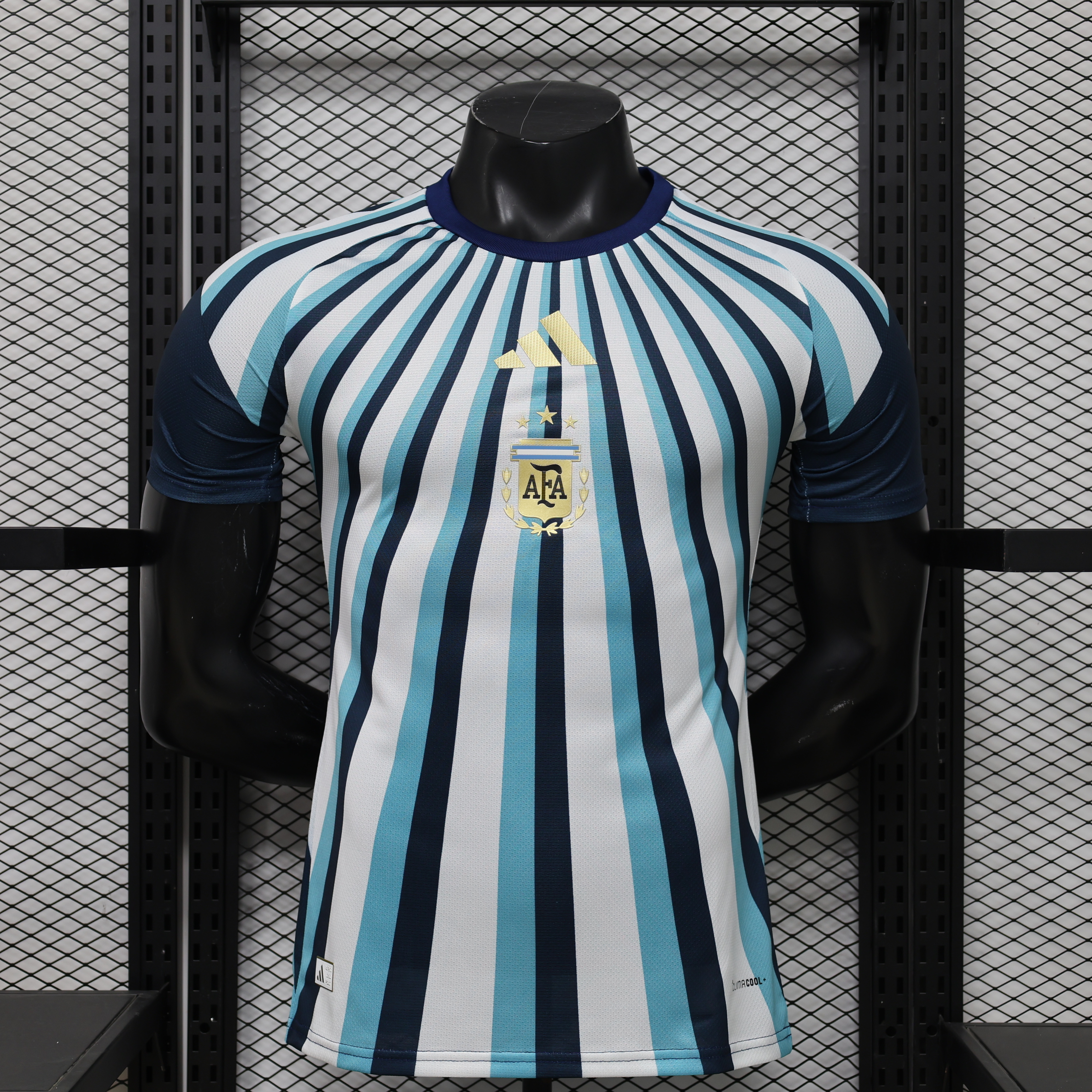 Argentina Authentic Soccer Jersey Special Edition Shirt 2026 World Cup Edition in Blue