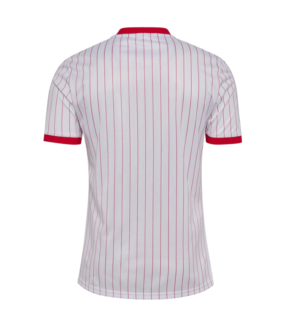 Denmark Football Jersey Away Custom Shirt World Cup 2026