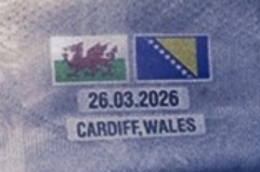 vs Wales