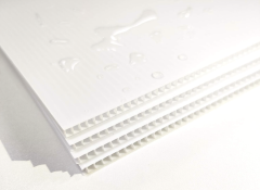 PN20262-Corrugated Plastic Blank Yard Sign