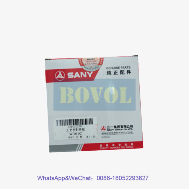 SANY Excavator W301C process seal package 12603023K
