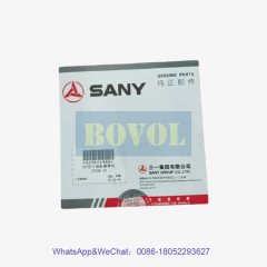 SANY Excavator 28T Bucket Cylinder Repair Kit JSY28-CD 60060296K
