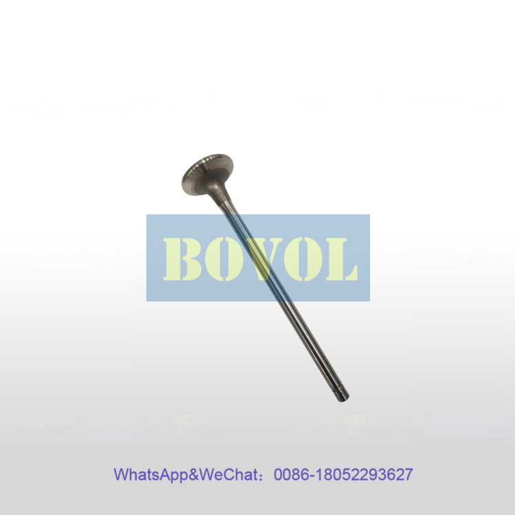 XCMG Excavator QSF3.8-125 engine exhaust valve