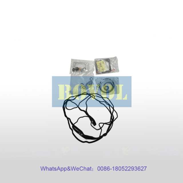 XCMG Excavator E55DA 60DA 65DA Engine Repair Kit (800144921)