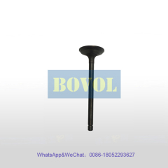 XCMG Excavator XE75DA intake valve (800156002)