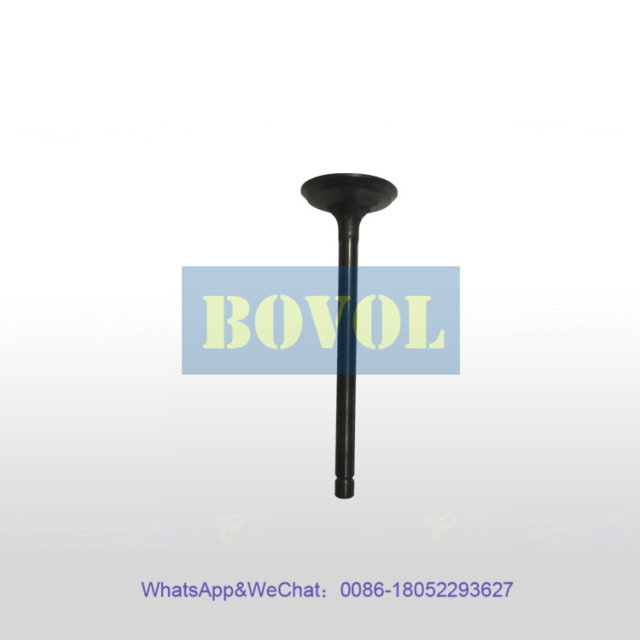 XCMG Excavator XE75DA intake valve (800156002)