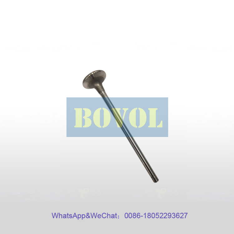 XCMG Excavator XE470D 490DK 500HB intake valve (860135511)