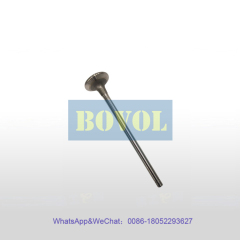 XCMG Excavator XE470D 490DK 500HB intake valve (860135511)