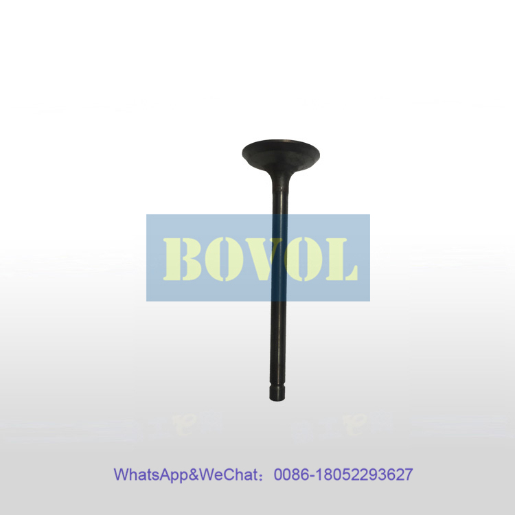 XCMG Excavator QSB7-C181 engine exhaust valve