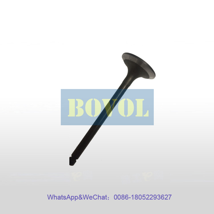 XCMG Excavator QSB7-C181 engine intake valve