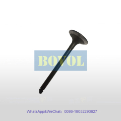 XCMG Excavator QSB7-C181 engine intake valve