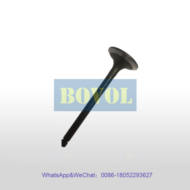 XCMG Excavator QSB7-C181 engine intake valve