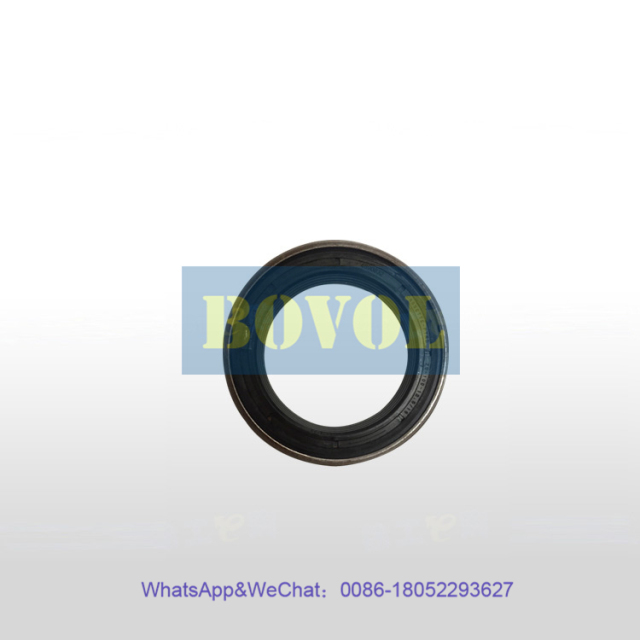 XCMG Excavator XE75DAV2607 engine (800155065)