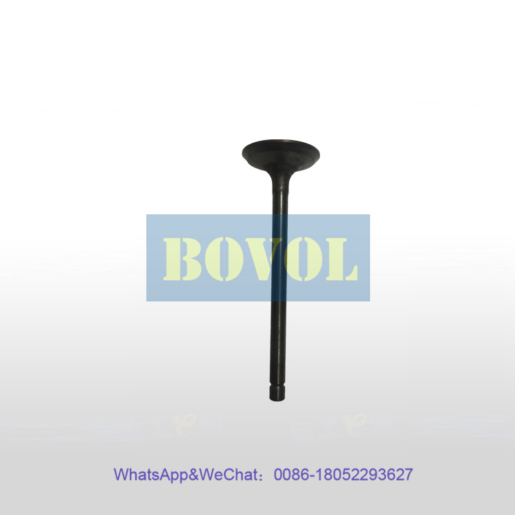 XCMG Excavator XE75DA exhaust valve (800156003)