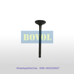 XCMG Excavator XE75DA exhaust valve (800156003)