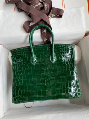 Hermes Birkin Dimensioni: 25*20*13cm
