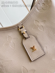 Louis Vuitton CarryAll Size：29*24*12cm