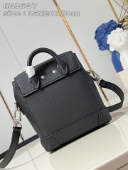 Louis Vuitton Pharrell Williams Dimensioni: 16,5*20*8,5 cm