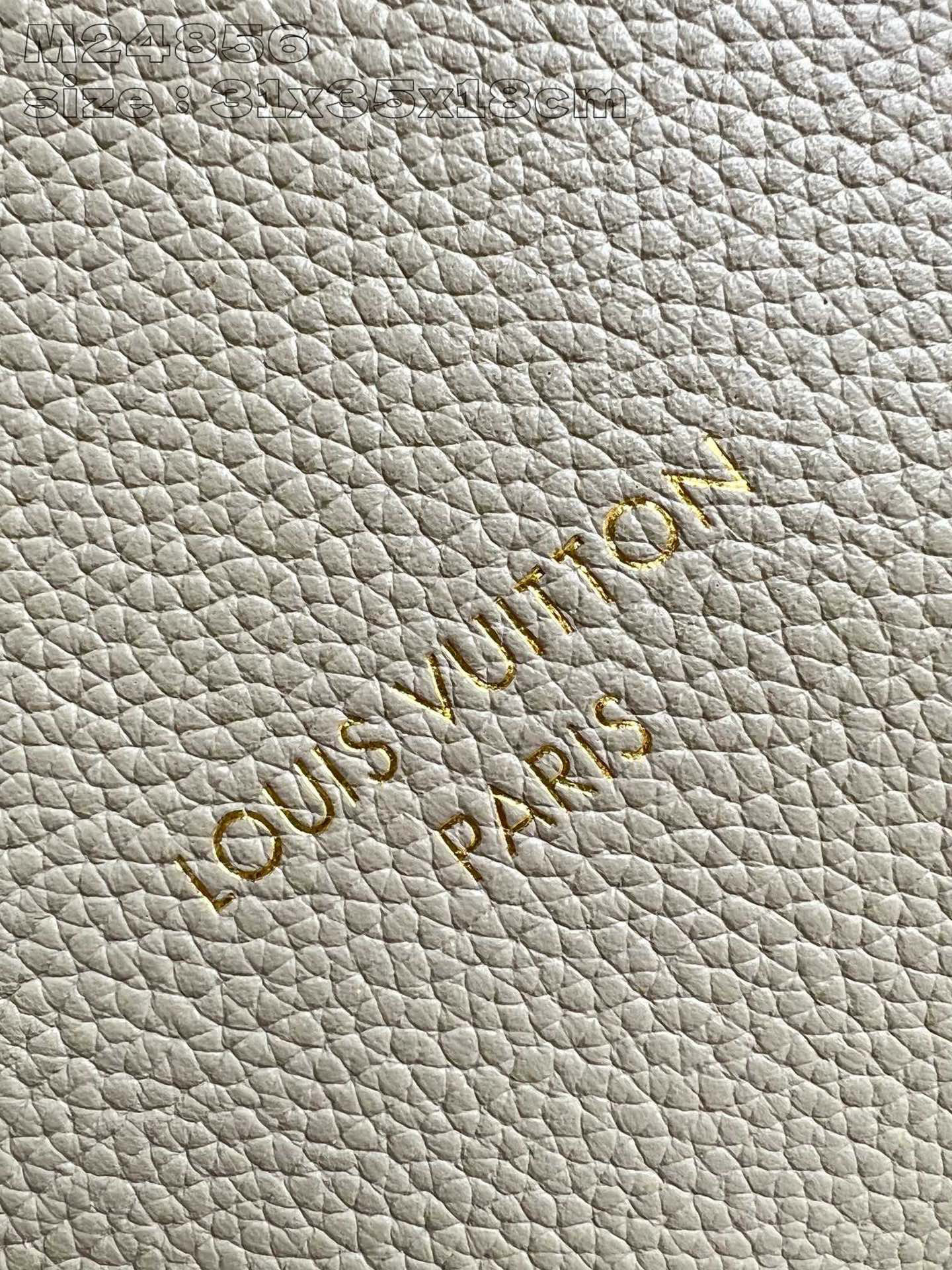 Louis Vuitton Low Key Hobo Size：31*35*18cm