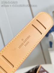 Louis Vuitton Speedy P9 Bandoulière Saiz：40*26*23sm
